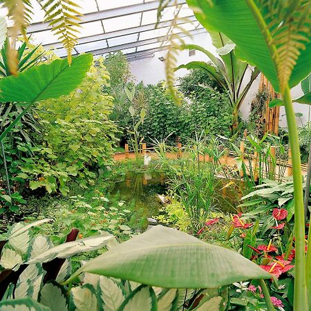 Ibis Budget Orleans Sud Comet 外观 照片